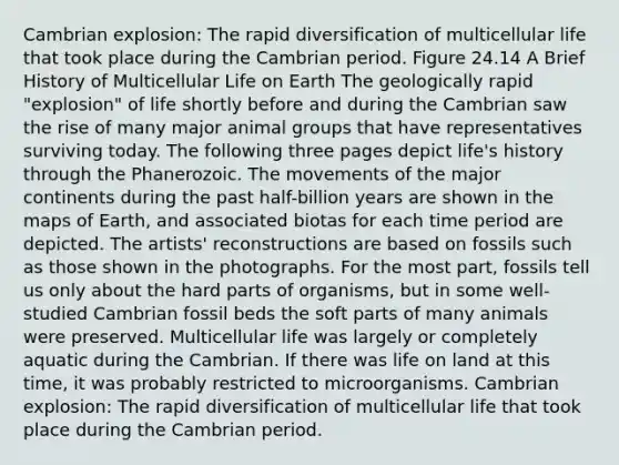 Cambrian explosion: The rapid diversification of multicellular life that took place during the Cambrian period. Figure 24.14 A Brief History of Multicellular Life on Earth The geologically rapid "explosion" of life shortly before and during the Cambrian saw the rise of many major animal groups that have representatives surviving today. The following three pages depict life's history through the Phanerozoic. The movements of the major continents during the past half-billion years are shown in the maps of Earth, and associated biotas for each time period are depicted. The artists' reconstructions are based on fossils such as those shown in the photographs. For the most part, fossils tell us only about the hard parts of organisms, but in some well-studied Cambrian fossil beds the soft parts of many animals were preserved. Multicellular life was largely or completely aquatic during the Cambrian. If there was life on land at this time, it was probably restricted to microorganisms. Cambrian explosion: The rapid diversification of multicellular life that took place during the Cambrian period.