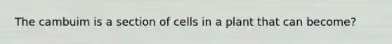 The cambuim is a section of cells in a plant that can become?