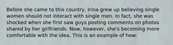 Before she came to this country, Irina grew up believing single women should not interact with single men. In fact, she was shocked when she first saw guys posting comments on photos shared by her girlfriends. Now, however, she's becoming more comfortable with the idea. This is an example of how: