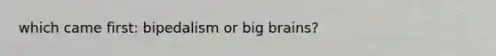 which came first: bipedalism or big brains?