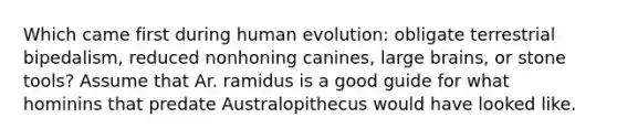 Which came first during human evolution: obligate terrestrial bipedalism, reduced nonhoning canines, large brains, or stone tools? Assume that Ar. ramidus is a good guide for what hominins that predate Australopithecus would have looked like.