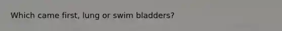 Which came first, lung or swim bladders?