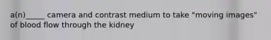 a(n)_____ camera and contrast medium to take "moving images" of blood flow through the kidney