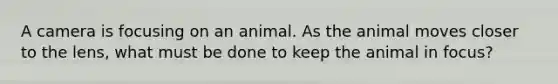 A camera is focusing on an animal. As the animal moves closer to the lens, what must be done to keep the animal in focus?