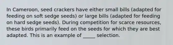 In Cameroon, seed crackers have either small bills (adapted for feeding on soft sedge seeds) or large bills (adapted for feeding on hard sedge seeds). During competition for scarce resources, these birds primarily feed on the seeds for which they are best adapted. This is an example of _____ selection.