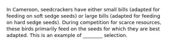 In Cameroon, seedcrackers have either small bills (adapted for feeding on soft sedge seeds) or large bills (adapted for feeding on hard sedge seeds). During competition for scarce resources, these birds primarily feed on the seeds for which they are best adapted. This is an example of ________ selection.