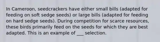 In Cameroon, seedcrackers have either small bills (adapted for feeding on soft sedge seeds) or large bills (adapted for feeding on hard sedge seeds). During competition for scarce resources, these birds primarily feed on the seeds for which they are best adapted. This is an example of ___ selection.