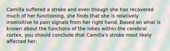 Camilla suffered a stroke and even though she has recovered much of her functioning, she finds that she is relatively insensitive to pain signals from her right hand. Based on what is known about the functions of the lobes within the cerebral cortex, you should conclude that Camilla's stroke most likely affected her: