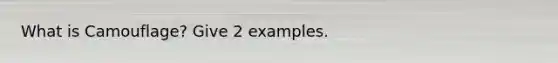 What is Camouflage? Give 2 examples.