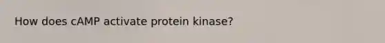 How does cAMP activate protein kinase?