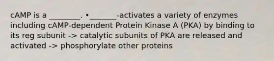 cAMP is a ________. •_______-activates a variety of enzymes including cAMP-dependent Protein Kinase A (PKA) by binding to its reg subunit -> catalytic subunits of PKA are released and activated -> phosphorylate other proteins