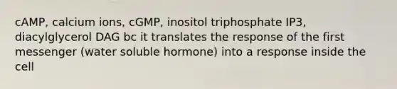 cAMP, calcium ions, cGMP, inositol triphosphate IP3, diacylglycerol DAG bc it translates the response of the first messenger (water soluble hormone) into a response inside the cell