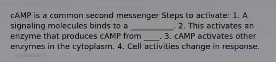 cAMP is a common second messenger Steps to activate: 1. A signaling molecules binds to a ___________. 2. This activates an enzyme that produces cAMP from ____. 3. cAMP activates other enzymes in the cytoplasm. 4. Cell activities change in response.