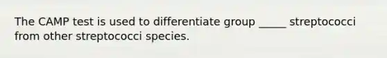 The CAMP test is used to differentiate group _____ streptococci from other streptococci species.