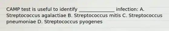 CAMP test is useful to identify _______________ infection: A. Streptococcus agalactiae B. Streptococcus mitis C. Streptococcus pneumoniae D. Streptococcus pyogenes