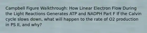 Campbell Figure Walkthrough: How Linear Electron Flow During the Light Reactions Generates ATP and NADPH Part F If the Calvin cycle slows down, what will happen to the rate of O2 production in PS II, and why?