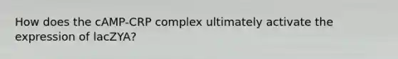 How does the cAMP-CRP complex ultimately activate the expression of lacZYA?