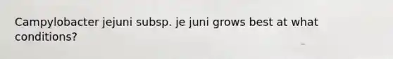 Campylobacter jejuni subsp. je juni grows best at what conditions?