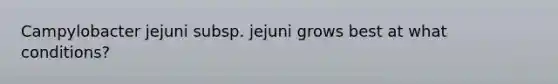 Campylobacter jejuni subsp. jejuni grows best at what conditions?