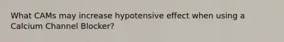 What CAMs may increase hypotensive effect when using a Calcium Channel Blocker?