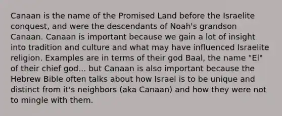 Canaan is the name of the Promised Land before the Israelite conquest, and were the descendants of Noah's grandson Canaan. Canaan is important because we gain a lot of insight into tradition and culture and what may have influenced Israelite religion. Examples are in terms of their god Baal, the name "El" of their chief god... but Canaan is also important because the Hebrew Bible often talks about how Israel is to be unique and distinct from it's neighbors (aka Canaan) and how they were not to mingle with them.