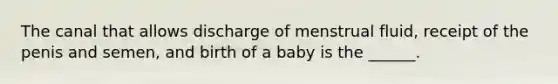 The canal that allows discharge of menstrual fluid, receipt of the penis and semen, and birth of a baby is the ______.