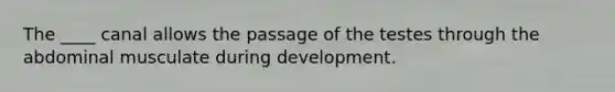 The ____ canal allows the passage of the testes through the abdominal musculate during development.