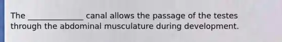 The ______________ canal allows the passage of the testes through the abdominal musculature during development.