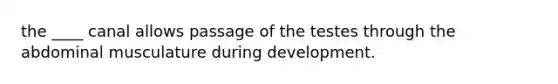 the ____ canal allows passage of the testes through the abdominal musculature during development.
