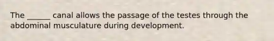 The ______ canal allows the passage of the testes through the abdominal musculature during development.