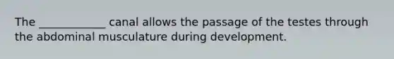 The ____________ canal allows the passage of the testes through the abdominal musculature during development.
