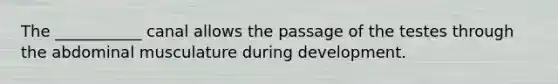 The ___________ canal allows the passage of the testes through the abdominal musculature during development.