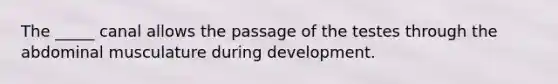 The _____ canal allows the passage of the testes through the abdominal musculature during development.