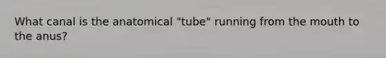 What canal is the anatomical "tube" running from the mouth to the anus?