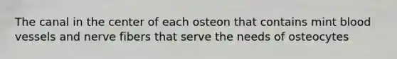 The canal in the center of each osteon that contains mint blood vessels and nerve fibers that serve the needs of osteocytes