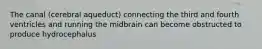 The canal (cerebral aqueduct) connecting the third and fourth ventricles and running the midbrain can become obstructed to produce hydrocephalus