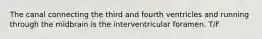 The canal connecting the third and fourth ventricles and running through the midbrain is the interventricular foramen. T/F