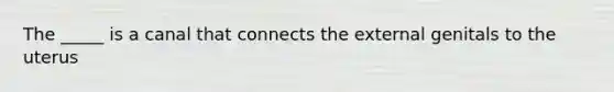 The _____ is a canal that connects the external genitals to the uterus