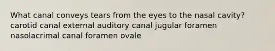 What canal conveys tears from the eyes to the nasal cavity? carotid canal external auditory canal jugular foramen nasolacrimal canal foramen ovale