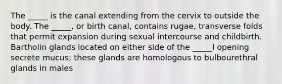 The _____ is the canal extending from the cervix to outside the body. The _____, or birth canal, contains rugae, transverse folds that permit expansion during sexual intercourse and childbirth. Bartholin glands located on either side of the _____l opening secrete mucus; these glands are homologous to bulbourethral glands in males