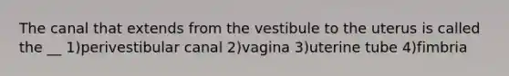 The canal that extends from the vestibule to the uterus is called the __ 1)perivestibular canal 2)vagina 3)uterine tube 4)fimbria