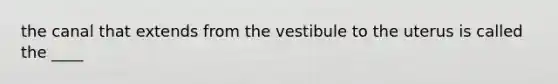 the canal that extends from the vestibule to the uterus is called the ____