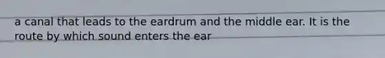 a canal that leads to the eardrum and the middle ear. It is the route by which sound enters the ear