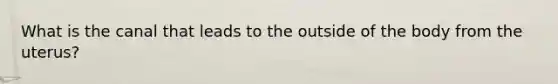 What is the canal that leads to the outside of the body from the uterus?