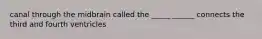 canal through the midbrain called the _____ ______ connects the third and fourth ventricles