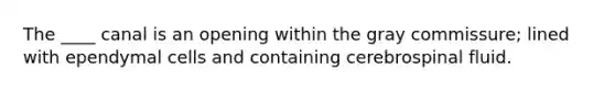 The ____ canal is an opening within the gray commissure; lined with ependymal cells and containing cerebrospinal fluid.