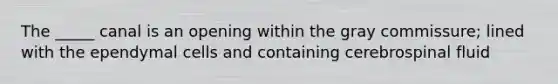 The _____ canal is an opening within the gray commissure; lined with the ependymal cells and containing cerebrospinal fluid
