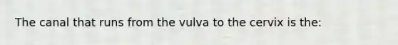 The canal that runs from the vulva to the cervix is the: