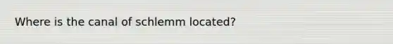 Where is the canal of schlemm located?