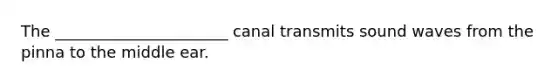 The ______________________ canal transmits sound waves from the pinna to the middle ear.